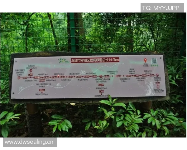 深圳极限运动队协作之道探索与实践分享